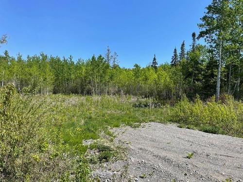 Land/Lot - 9 Route Du Quai, Saint-Bruno-De-Guigues, QC 