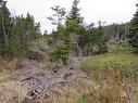 6 Country Lane, Conception Harbour, NL 