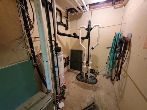 316 6Th Avenue, New Denver, BC - Indoor Photo Showing Basement