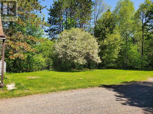 11884 Highway 522, Parry Sound Remote Area, ON - Outdoor