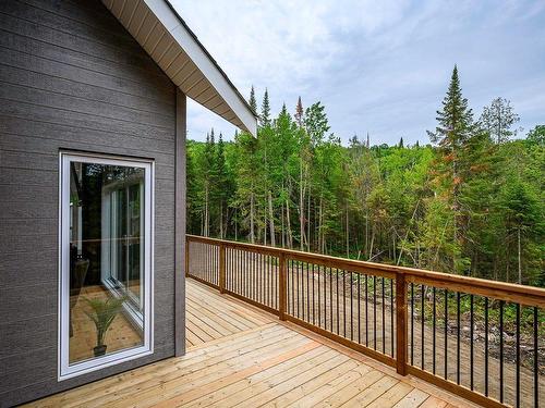 Wooded area - 69 Ch. Brunette, Lac-Supérieur, QC - Outdoor With Exterior