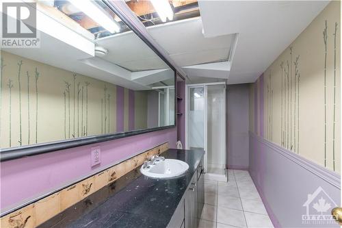 223 Roger Road, Ottawa, ON - Indoor Photo Showing Bathroom