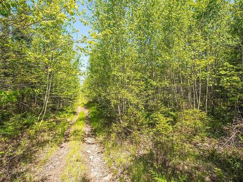 Lot Old Post Road, Enfield, NS 