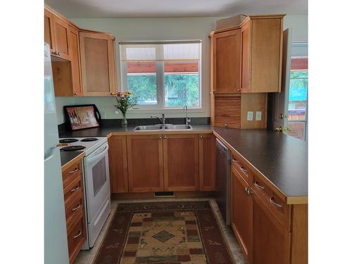 436 Bayview Road, Nakusp, BC - Indoor Photo Showing Kitchen With Double Sink