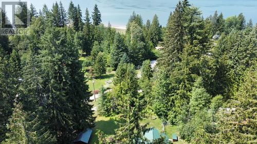 436 Bayview Road, Nakusp, BC - Outdoor With View