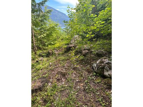 4754 Twin Bays Rd, Kaslo, BC - Outdoor With View