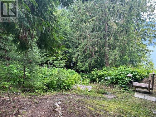 4754 Twin Bays Road, Kaslo, BC - Outdoor