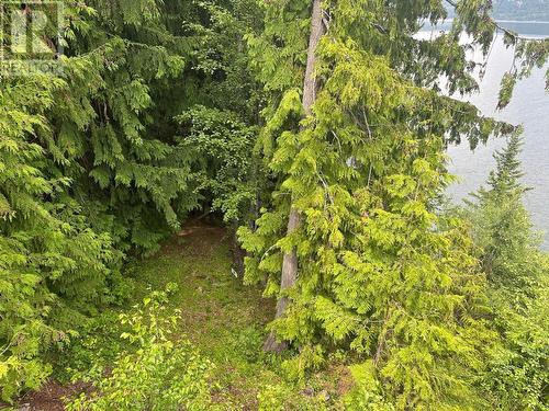 4754 Twin Bays Road, Kaslo, BC - Outdoor