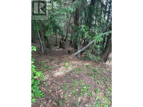 4754 Twin Bays Road, Kaslo, BC - Outdoor