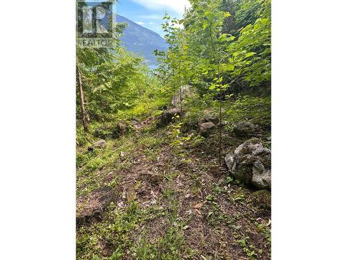 4754 Twin Bays Road, Kaslo, BC - Outdoor With View