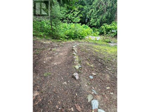 4754 Twin Bays Road, Kaslo, BC - Outdoor