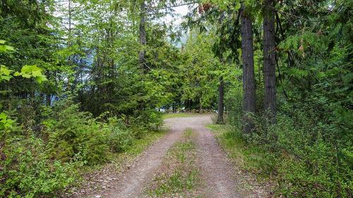 4754 Twin Bays Rd, Kaslo, BC - Outdoor