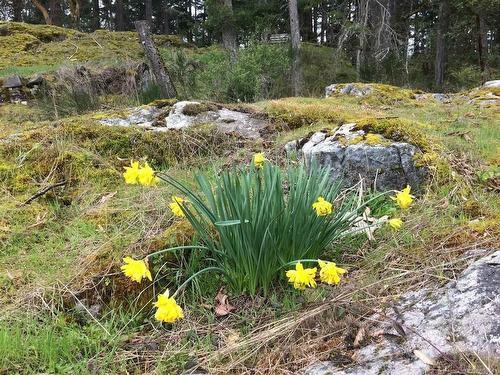 151 Beaver Point Rd, Salt Spring, BC - Outdoor