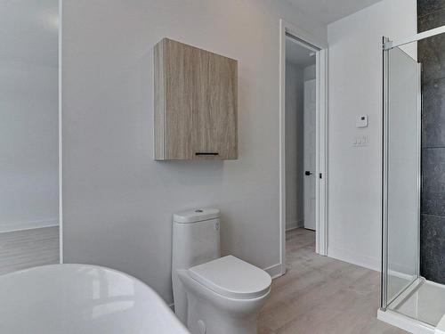 Salle de bains - 10325 Rue Du Beaujolais, Mirabel, QC - Indoor Photo Showing Bathroom