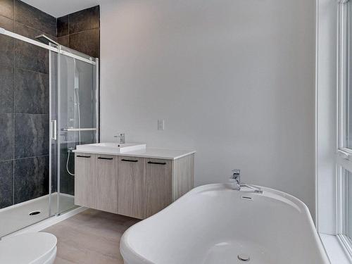 Salle de bains - 10325 Rue Du Beaujolais, Mirabel, QC - Indoor Photo Showing Bathroom