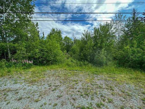 2171 208 Highway, Hemford, NS 