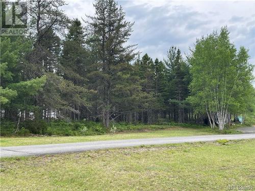 1563 Howard, Blackville, NB - Outdoor With View