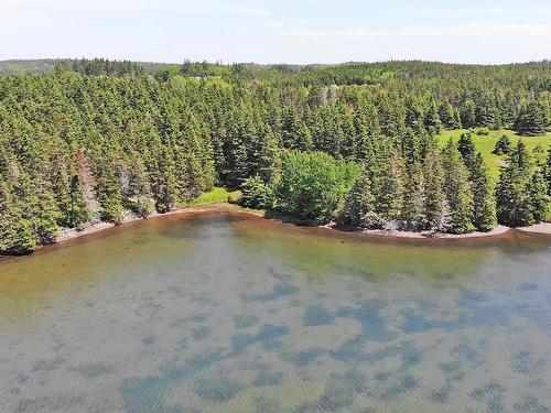 9.9 Acres Grand Greve Road, Grande Greve, NS 