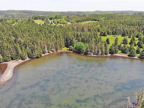 9.9 Acres Grand Greve Road, Grande Greve, NS 