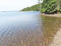 9.9 Acres Grand Greve Road, Grande Greve, NS 