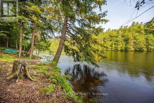 02 Lower Spruce Hedge Road, Mcnab/Braeside, ON 