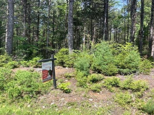 Lot 21 Narrows Road, Labelle, NS 