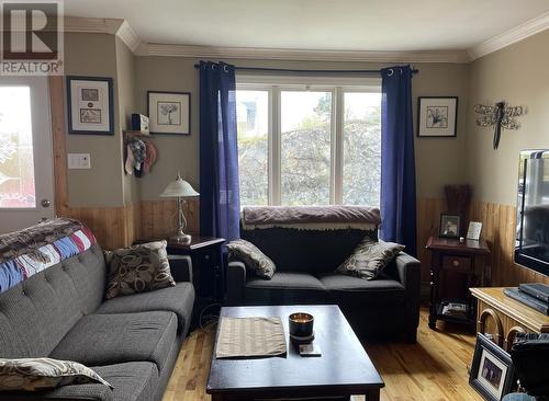 14 Line Road, St. Chad'S, NL - Indoor Photo Showing Living Room