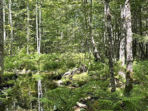 Molega Lake Road, Molega Lake, Molega Lake, NS 