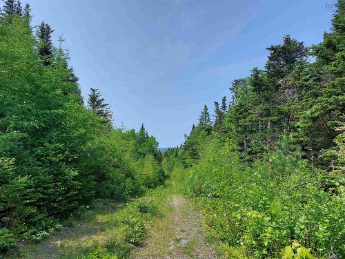 Lot 23Ij Diana Mountain Rd., The Points West Bay, NS 