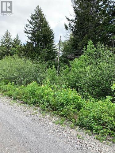 Lot 15-B Burchills Flats, St. Martins, NB 