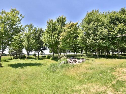 Maple grove - 349 5E Rang, Saint-Bernard-De-Michaudville, QC - Outdoor With View