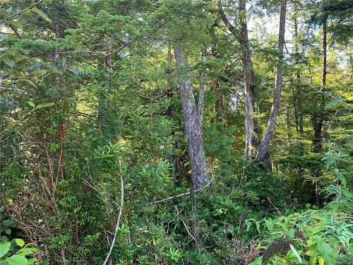 1797 Rainforest Lane, Ucluelet, BC 