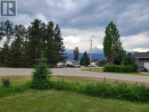 1096 8Th Avenue, Valemount, BC - Outdoor With View