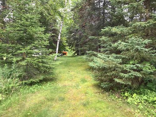 Lot 10 Bear Paw Trail, Kenora, ON - Outdoor