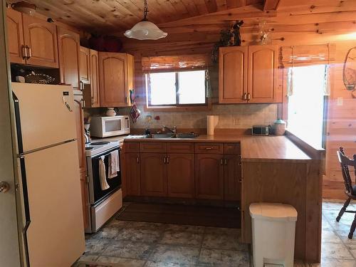 Lot 10 Bear Paw Trail, Kenora, ON - Indoor Photo Showing Kitchen With Double Sink