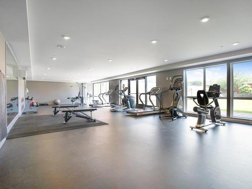 Salle d'exercice - 429-1601 Rue Viola-Desmond, Montréal (Lasalle), QC - Indoor Photo Showing Gym Room