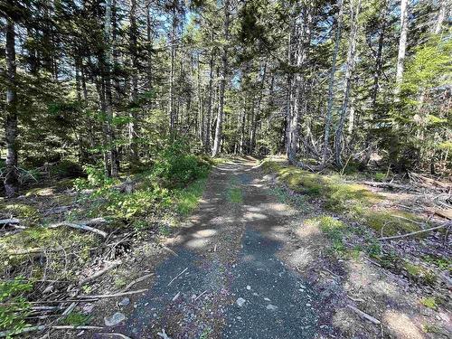 Lot 103 Highway, Hebbville, NS 