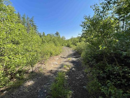 Lot 103 Highway, Hebbville, NS 