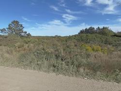 308 Cleveland Road Central Chebogue, NS B5A 5G5