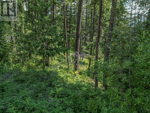 Lot 25 Forest View Place, Blind Bay, BC 