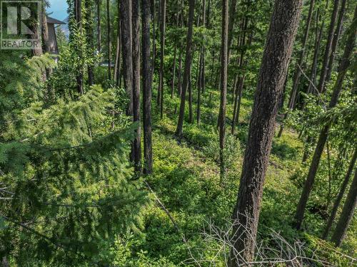 Lot 25 Forest View Place, Blind Bay, BC 