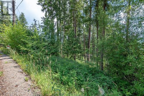 Lot 25 Forest View Place, Blind Bay, BC 