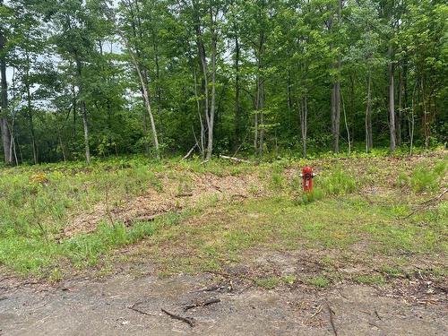 Land/Lot - Boul. De L'Aéroparc, Lachute, QC 