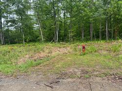 Land/Lot - 