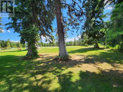 219 Trinity Valley Road, Lumby, BC - Outdoor With View