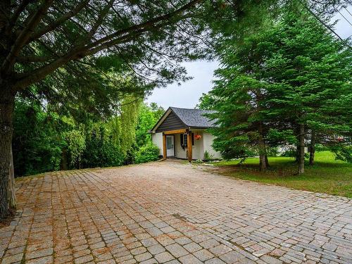 Frontage - 198 Ch. Beaulne, Piedmont, QC - Outdoor