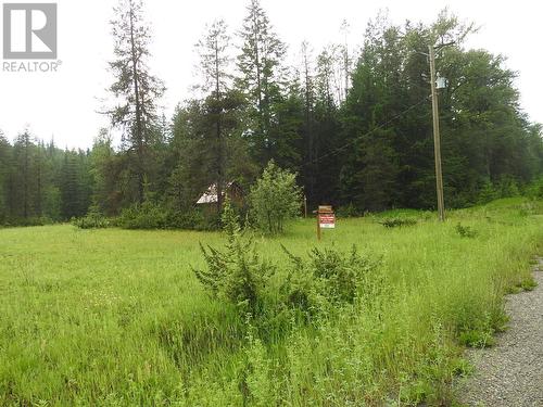 225 Barnes Creek Forest Service Road, Edgewood, BC - Outdoor With View