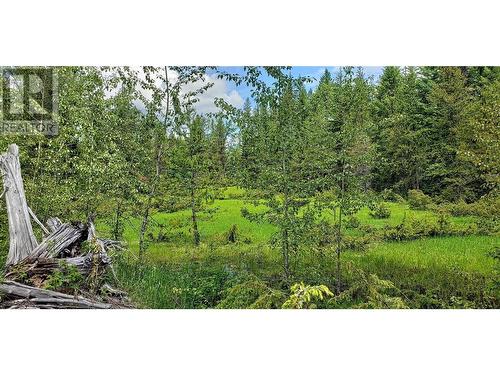 225 Barnes Creek Forest Service Road, Edgewood, BC - Outdoor