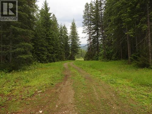 225 Barnes Creek Forest Service Road, Edgewood, BC - Outdoor With View