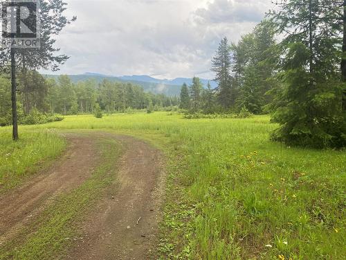 225 Barnes Creek Forest Service Road, Edgewood, BC - Outdoor With View